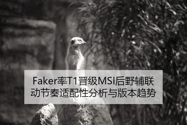 Faker率T1晋级MSI后野辅联动节奏适配性分析与版本趋势