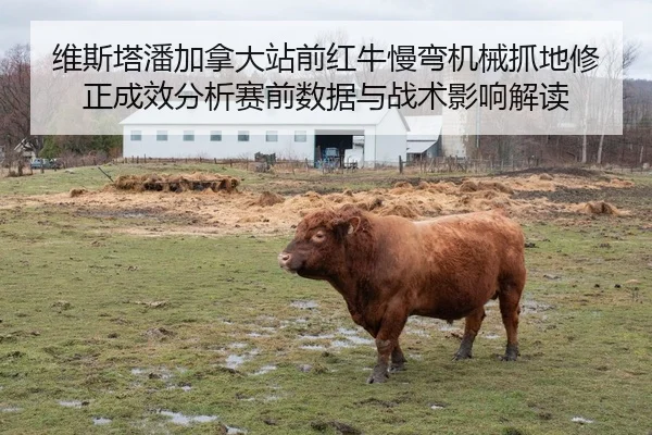 wei-si-ta-pan-jia-na-da-zhan-qian-hong-niu-man-wan-ji-xie-zhua-di-xiu-zheng-cheng-xiao-fen-xi-sai-qian-shu-ju-yu-zhan-2-941.jpg