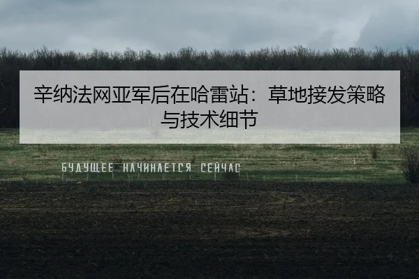 辛纳法网亚军后在哈雷站：草地接发策略与技术细节